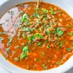 A close-up of a bowl of The Best Lentil Soup, a tomato-based lentil soup garnished with fresh chopped herbs and a spoon inside, against a white background.