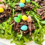 Chocolate nests topped with colorful candy eggs sit on a bed of fresh arugula. The nests are made of chocolate-coated sticks and sprinkled with sesame seeds. The eggs are pastel shades of blue, green, yellow, and pink.