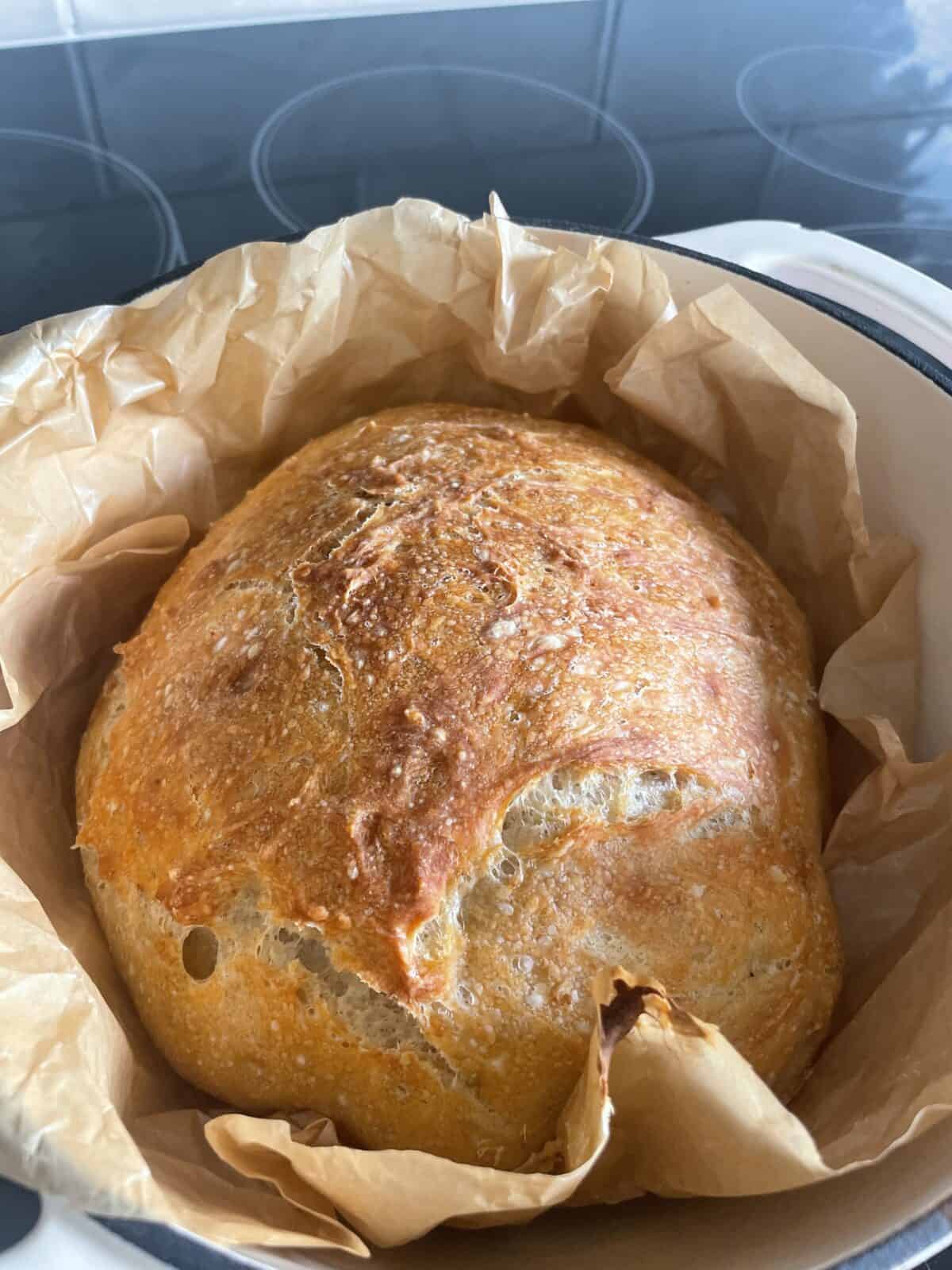 A round loaf of golden-brown No Knead Bread sits on crinkled parchment paper in a pot, freshly baked with a crisp crust and a rustic, artisan appearance.