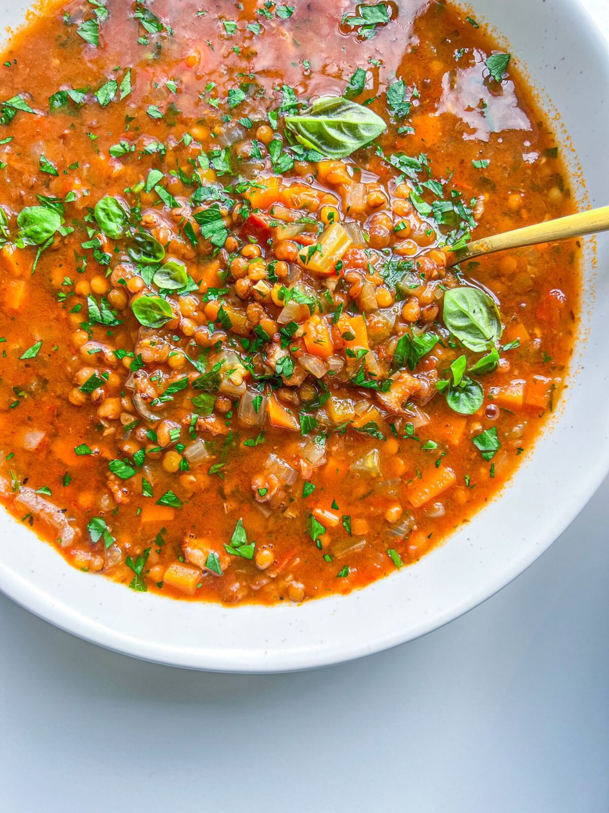 Tips for making Best Lentil Soup
