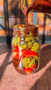 Dubai Strawberry Cup (Viral) - The Modern Nonna