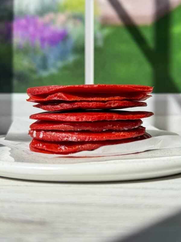 A stack of thin, red fruit leather squares on a white plate with parchment paper. The background shows a blurred view of a window with green trees and a colorful garden outside. Sunlight casts shadows across the table.