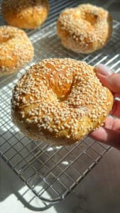 A hand holds a freshly baked bagel covered in sesame seeds, with more bagels in the background on a cooling rack. Sunlight highlights the golden-brown crust and the texture of the sesame seeds.