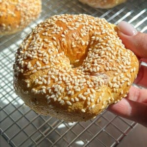 A hand holds a freshly baked bagel covered in sesame seeds, with more bagels in the background on a cooling rack. Sunlight highlights the golden-brown crust and the texture of the sesame seeds.