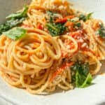 A plate of spaghetti topped with tomato sauce, fresh basil leaves, and grated cheese. The noodles are neatly arranged, garnished with vibrant green herbs, and the dish is presented in a white speckled bowl on a light-colored surface.