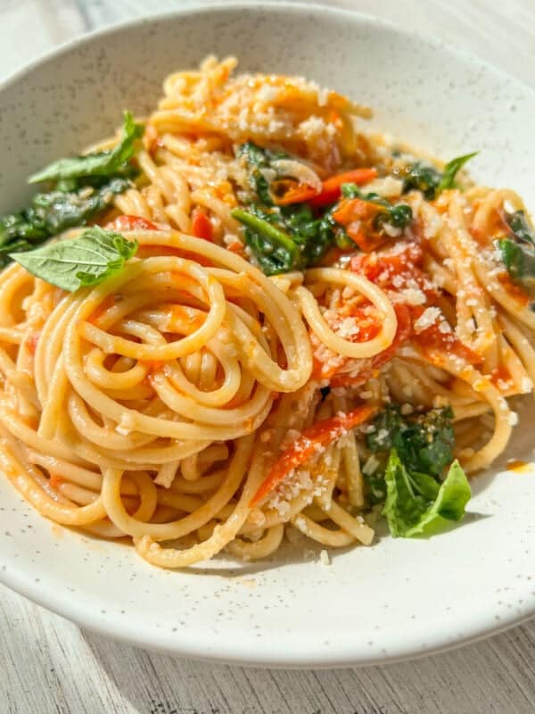 A plate of spaghetti topped with tomato sauce, fresh basil leaves, and grated cheese. The noodles are neatly arranged, garnished with vibrant green herbs, and the dish is presented in a white speckled bowl on a light-colored surface.