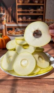 A hand holds a thin, round slice of green apple with a hole in the center above a plate stacked with similar apple slices—perfect for layering in an Invisible Pear Cake; a pumpkin and baked goods sit blurred in the background.
