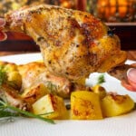 A hand holds a piece of seasoned, roasted chicken over a plate with more chicken pieces and golden roasted potatoes, garnished with fresh herbs. Warm, blurred lights create a cozy background.