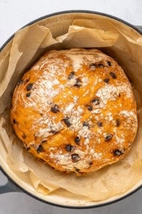 A round loaf of chocolate chip bread with a golden, lightly floured crust sits in a parchment-lined pot, ready for baking.