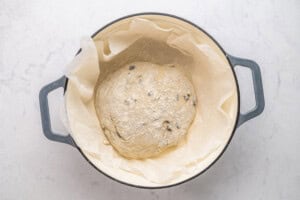 A round loaf of uncooked olive bread dough sits on parchment paper in a gray Dutch oven, lightly dusted with flour, on a white marble surface.