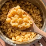 A wooden spoon holds a serving of cooked macaroni shells above a pot filled with more rich, Asian Italian Buttered Noodles, sitting on a wooden surface with sunlight shining on it.