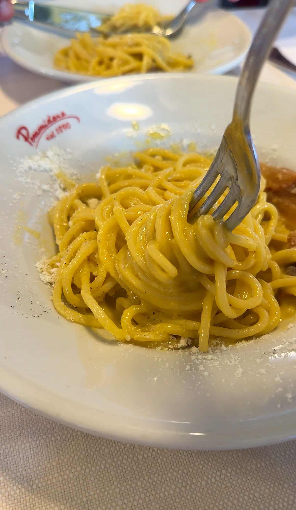 A close-up of a plate of spaghetti being twirled around a fork. The pasta is lightly coated in a creamy sauce with grated cheese sprinkled around the edge of a white plate. Another plate of pasta is visible in the background.