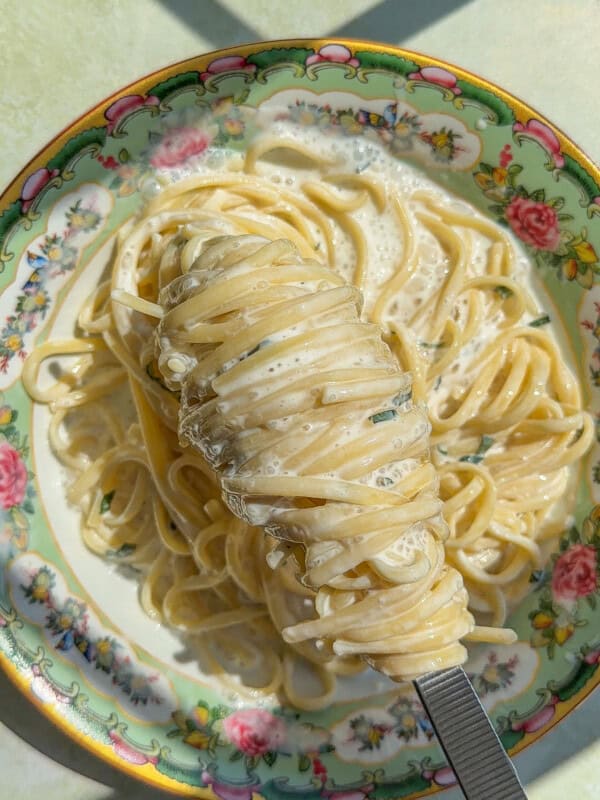 A fork holds a twirl of creamy yogurt noodles above a floral-patterned bowl filled with more pasta, all bathed in sunlight.