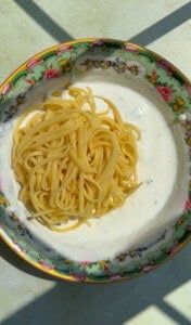 A bowl with creamy white sauce resembling Yogurt Noodles and a serving of plain cooked spaghetti, set in a decorative floral-patterned bowl, lit by sunlight casting shadows.