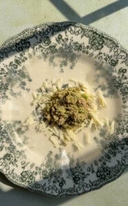 A floral-patterned plate holds a small pile of shredded cheese and a scoop of tuna salad, lit by sunlight.