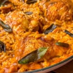 Chicken thighs in a pan sitting on a bed of pumpkin orzo.