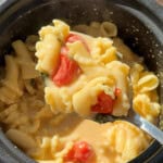 Creamy pasta with tomatoes and spinach in black bowl