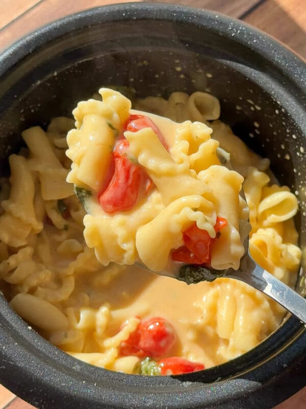 Creamy pasta with tomatoes and spinach in black bowl