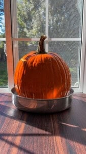 Large orange pumpkin sitting in a metal bowl indoors