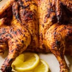 Golden spatchcock roasted chicken with lemon slices on platter